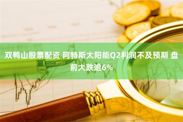 双鸭山股票配资 阿特斯太阳能Q2利润不及预期 盘前大跌逾6%