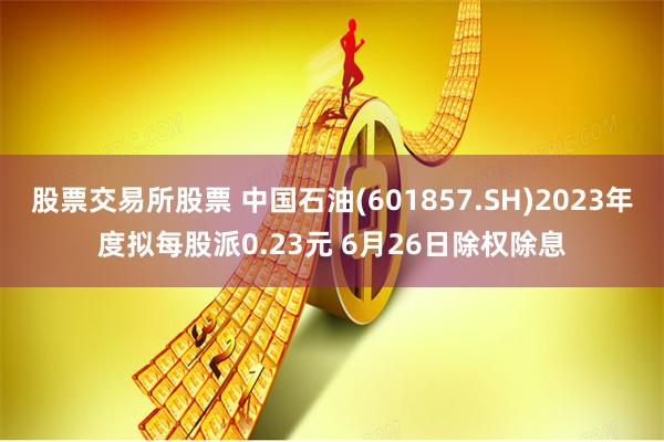 股票交易所股票 中国石油(601857.SH)2023年度拟每股派0.23元 6月26日除权除息